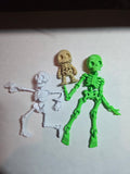 Articulated skeletons, front view