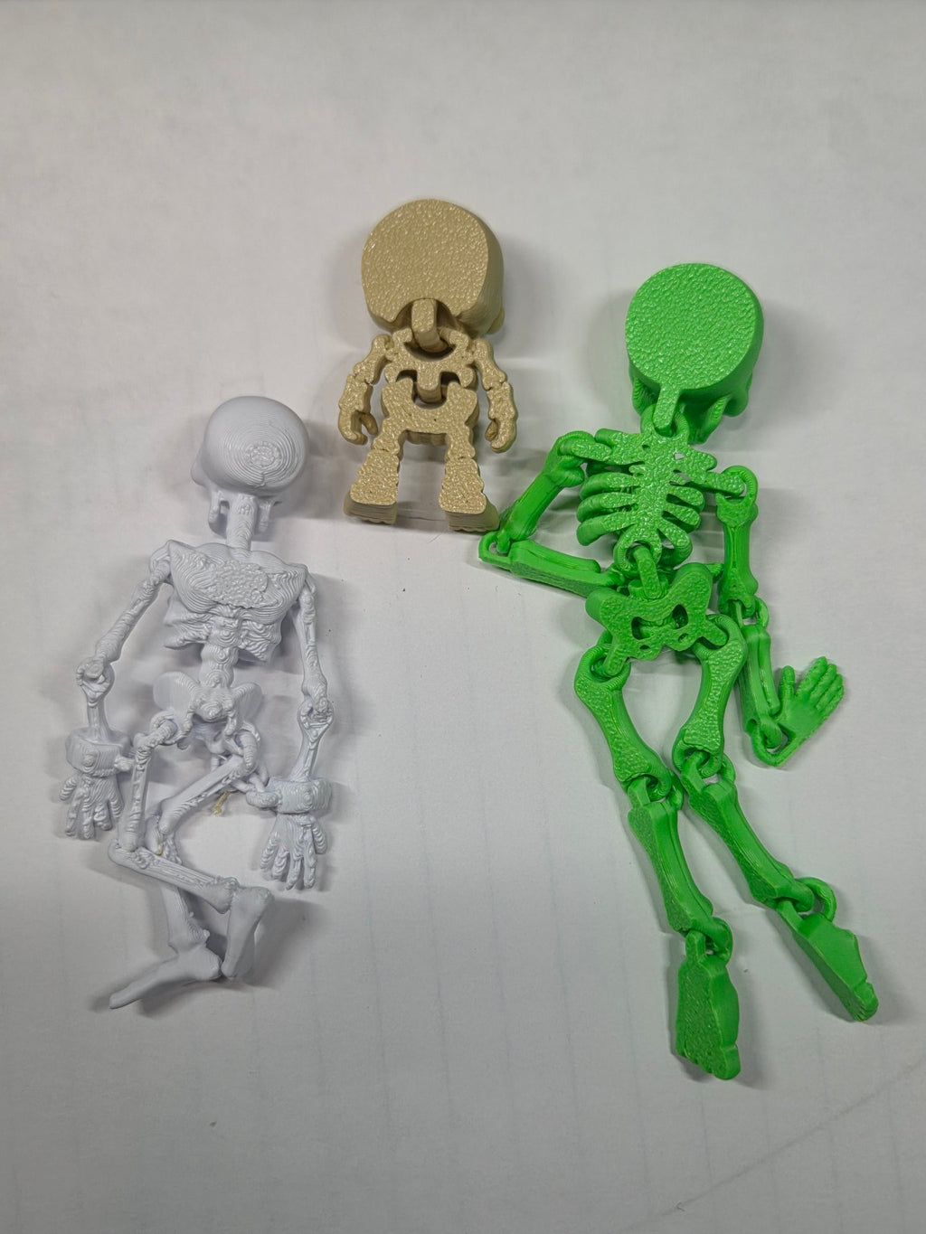 Articulated skeletons, back view