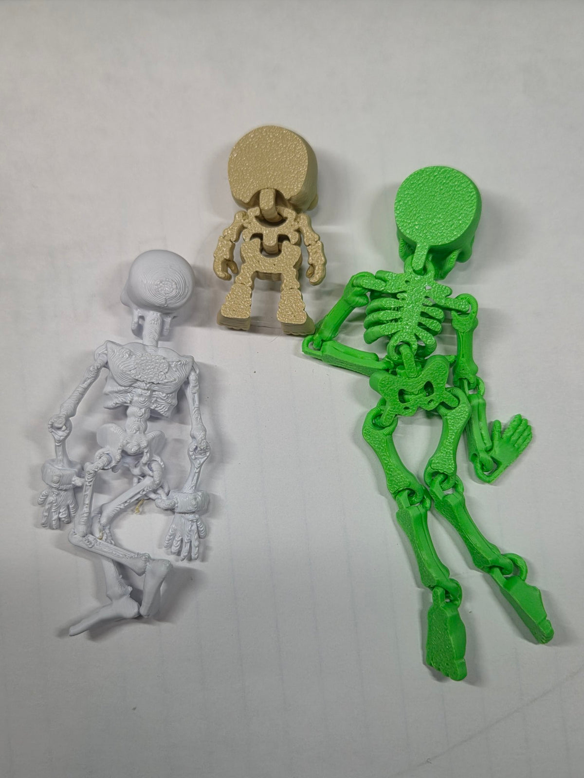 Articulated skeletons, back view